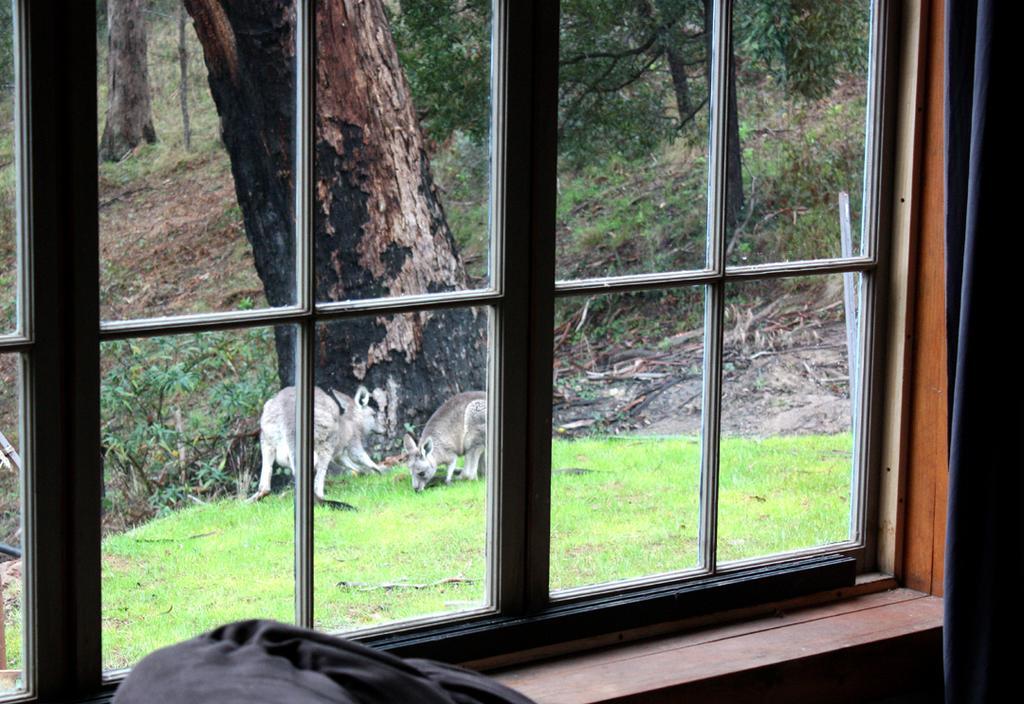 La Boheme Villa Daylesford Chambre photo